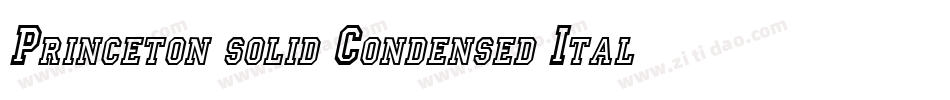 Princeton solid Condensed Italic字体转换